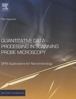 Quantitative Data Processing in Scanning Probe Microscopy