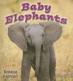 BABY ELEPHANTS