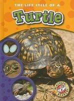 LIFE CYCLE OF A TURTLE, THE