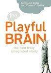 PLAYFUL BRAIN: VENTURING TO THE LIMITS OF NEUROSCIENCE.