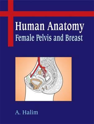 Human Anatomy : Female Pelvis and Breast