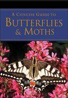 A Concise Guide To Butterflies &Amp; Moths