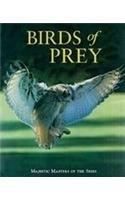 Birds Of Prey