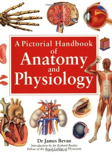  A Pictorial Handbook of Anatomy & Physiology 