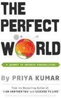 The Perfect World: A Journey To Infinite Possibilities 