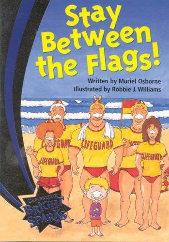 Bright Sparks: Stay between the Flags!