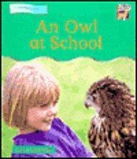 An Owl at School (Cambridge Reading) 