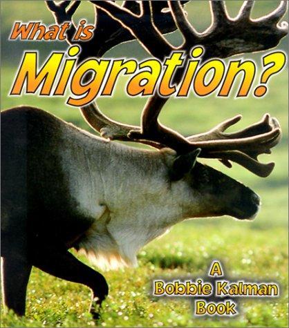 What Is Migration?