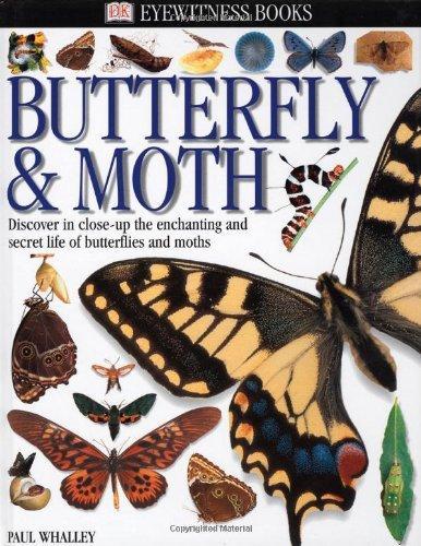 Eyewitness: Butterfly & Moth (Eyewitness Books) 