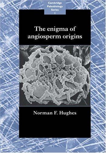 The Enigma of Angiosperm Origins (Cambridge Paleobiology Series) 