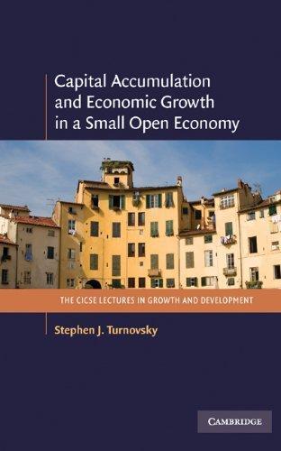 Capital Accumulation and Economic Growth in a Small Open Economy