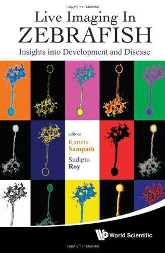 Life Imaging in Zebrafish: Insights into Development and Disease