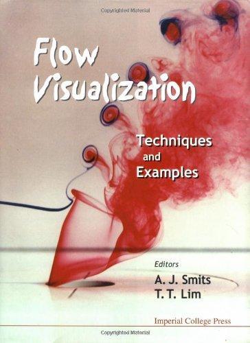 Flow Visualization: Techniques and Examples 