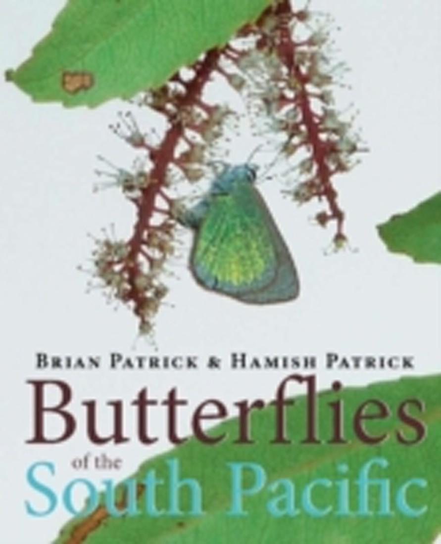 Butterflies of the South Pacific (English)