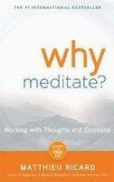 Why Meditate? Working with Thoughts and Emotions