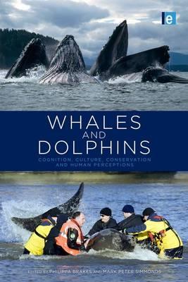 Whales and Dolphins: Cognition, Culture, Conservation and Human Perceptions