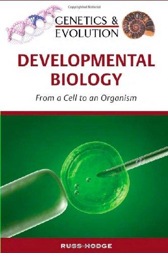 Developmental Biology: From a Cell to an Organism