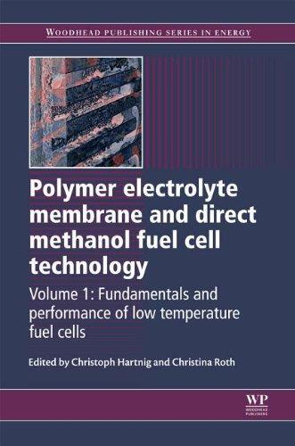 Polymer electrolyte membrane and direct methanol fuelcell technology: Volume 1: Fundamentals and performance of low temperature fuel cells (Woodhead Publishing Series in Energy) 