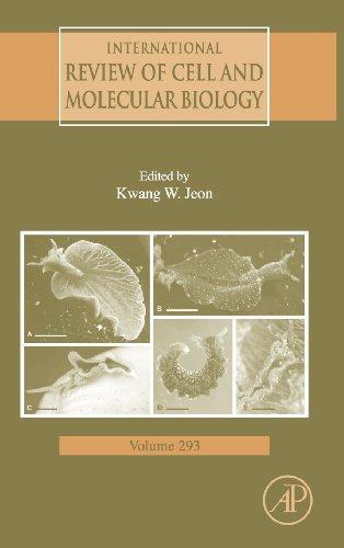 International Review Of Cell and Molecular Biology, Volume 293