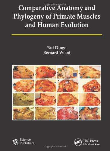 Comparative Anatomy and Phylogeny of Primate Muscles and Human Evolution 