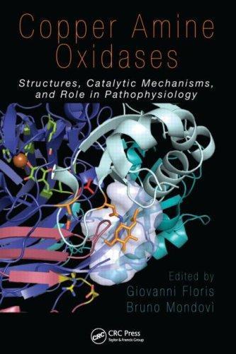 Copper Amine Oxidases: Structures, Catalytic Mechanisms and Role in Pathophysiology
