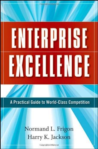 Enterprise Excellence: A Practical Guide to World Class Competition 