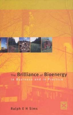 The Brilliance of Bioenergy: In Business and Practice