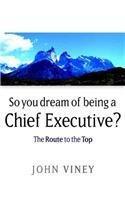 So You Dream of Being a Chief Executive?: The Route to the Top