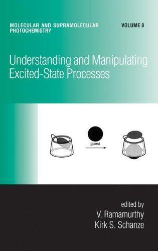 Understanding and Manipulating Excited-State Processes