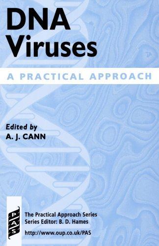 DNA Viruses: A Practical Approach