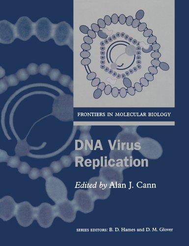 Dna Virus Replication (Frontiers in Molecular