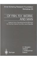 Of Fish, Fly, Worm and Man: Lessons from Developmental Biology for Human Gene Function and Disease