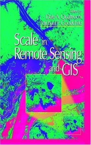 Scale in Remote Sensing and GIS