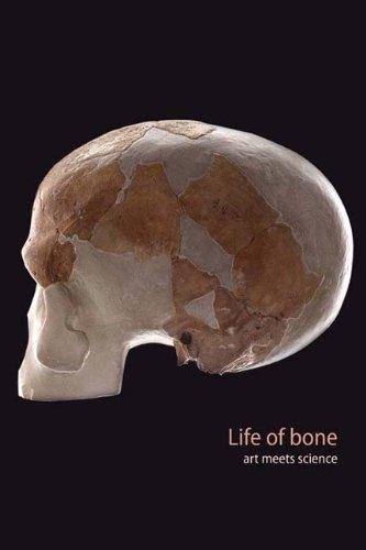 Life of Bone: Art Meets Science