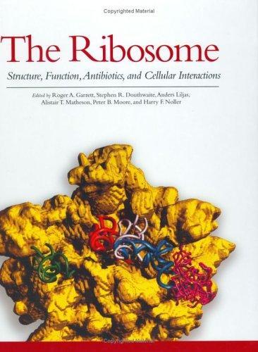 The Ribosome, Structure, Function, Antibiotics, and Cellular Interactions 