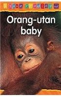 Orang-utan Baby