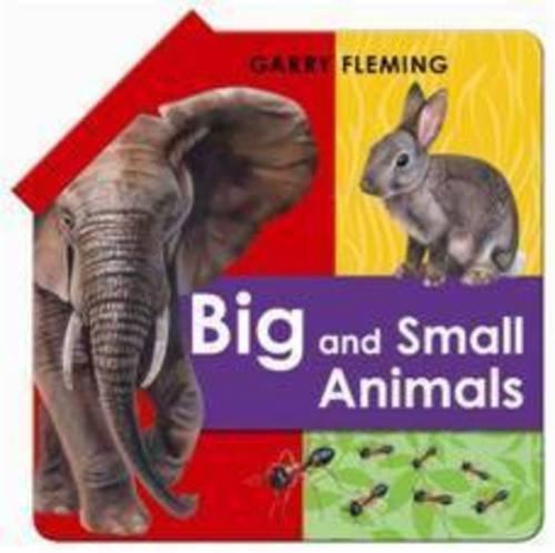 Big And Small Animals Fold Out Book 