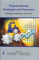 Organizational Strategies and Processes: Meeting Challenges of Growth