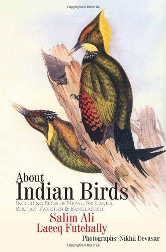 About Indian Birds 