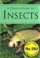 A Concise Guide To Insects