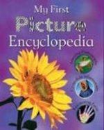 Children's Picture Encyclopedia