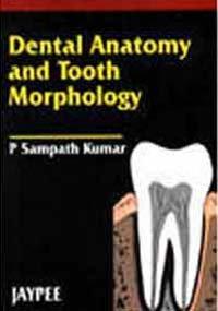 DENTAL ANATOMY & TOOTH MORPHOLOGY,REPRINT, 2007