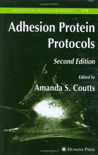 Adhesion Protein Protocols (Methods in Molecular Biology) 