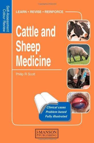Cattle and Sheep Medicine