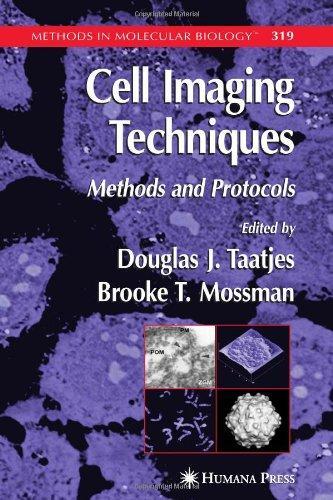 Cell Imaging Techniques: Methods and Protocols