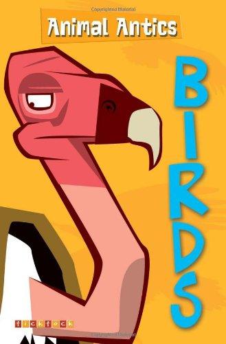  Birds (Animal Antics) 