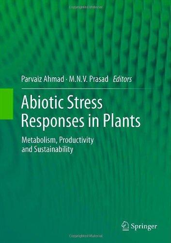 Abiotic Stress Responses in Plants: Metabolism, Productivity and Sustainability 