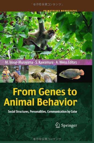 From Genes to Animal Behavior: Social Structures, Personalities, Communication by Color (Primatology Monographs) 