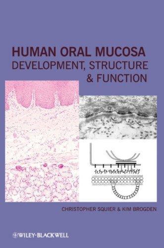 Human Oral Mucosa: Development, Structure, and Function