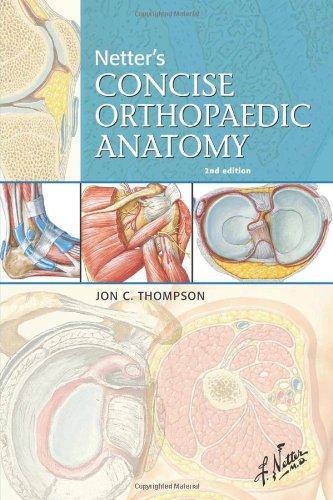 Netter's Concise Orthopaedic Anatomy